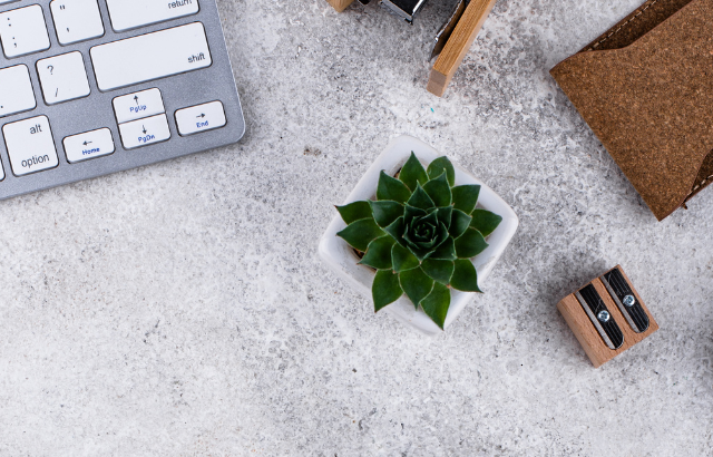 White Label WordPress – jak oferować rozwiązania pod własną marką